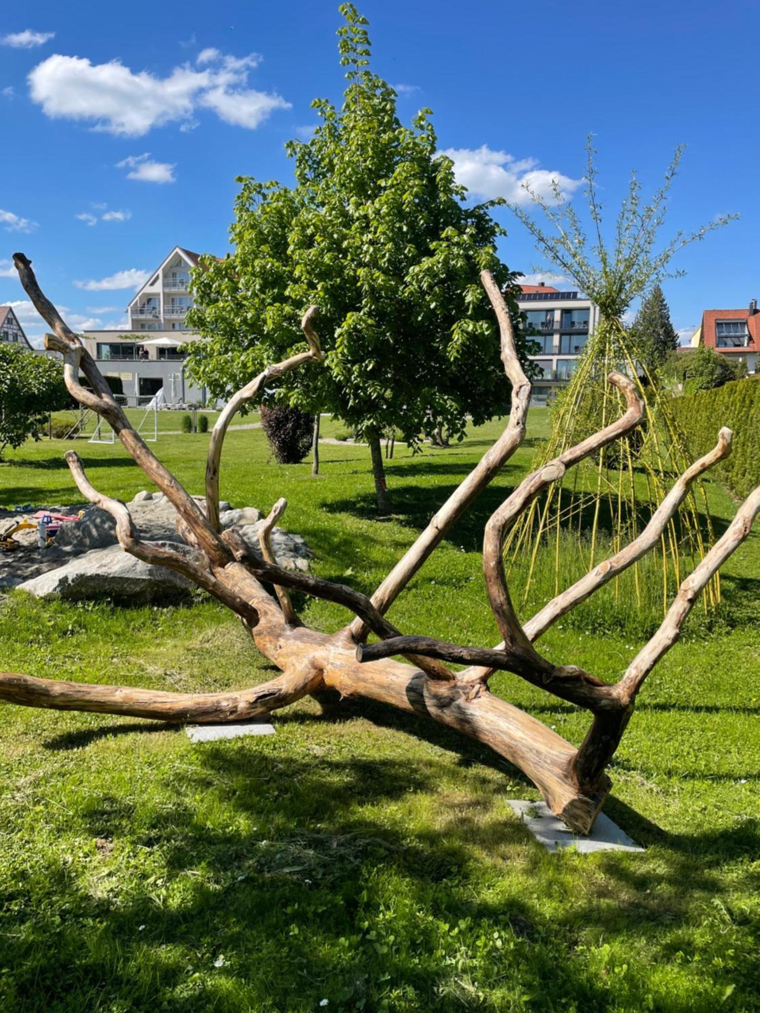 Hotel Traube Am See Friedrichshafen Ngoại thất bức ảnh