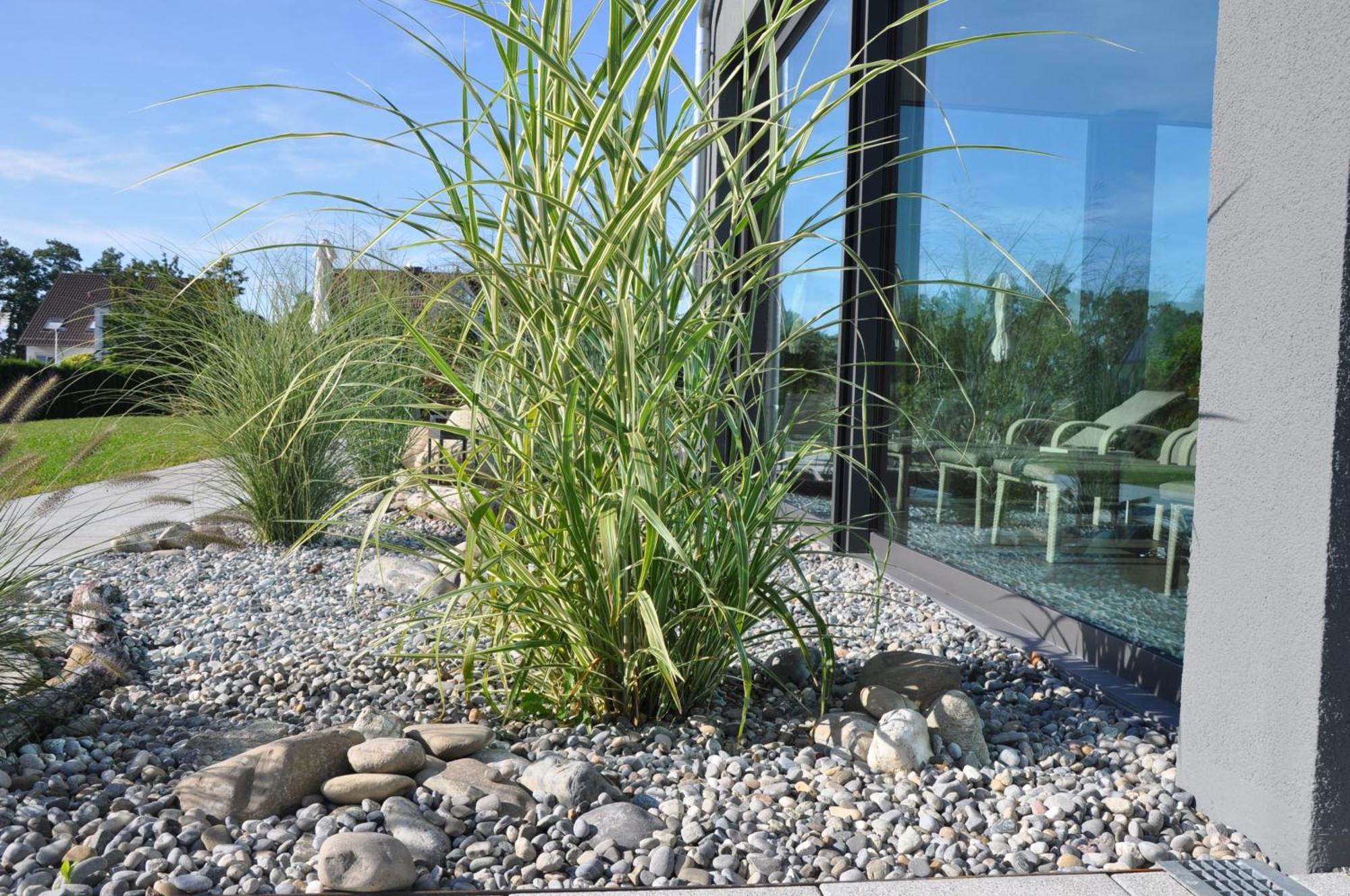 Hotel Traube Am See Friedrichshafen Ngoại thất bức ảnh